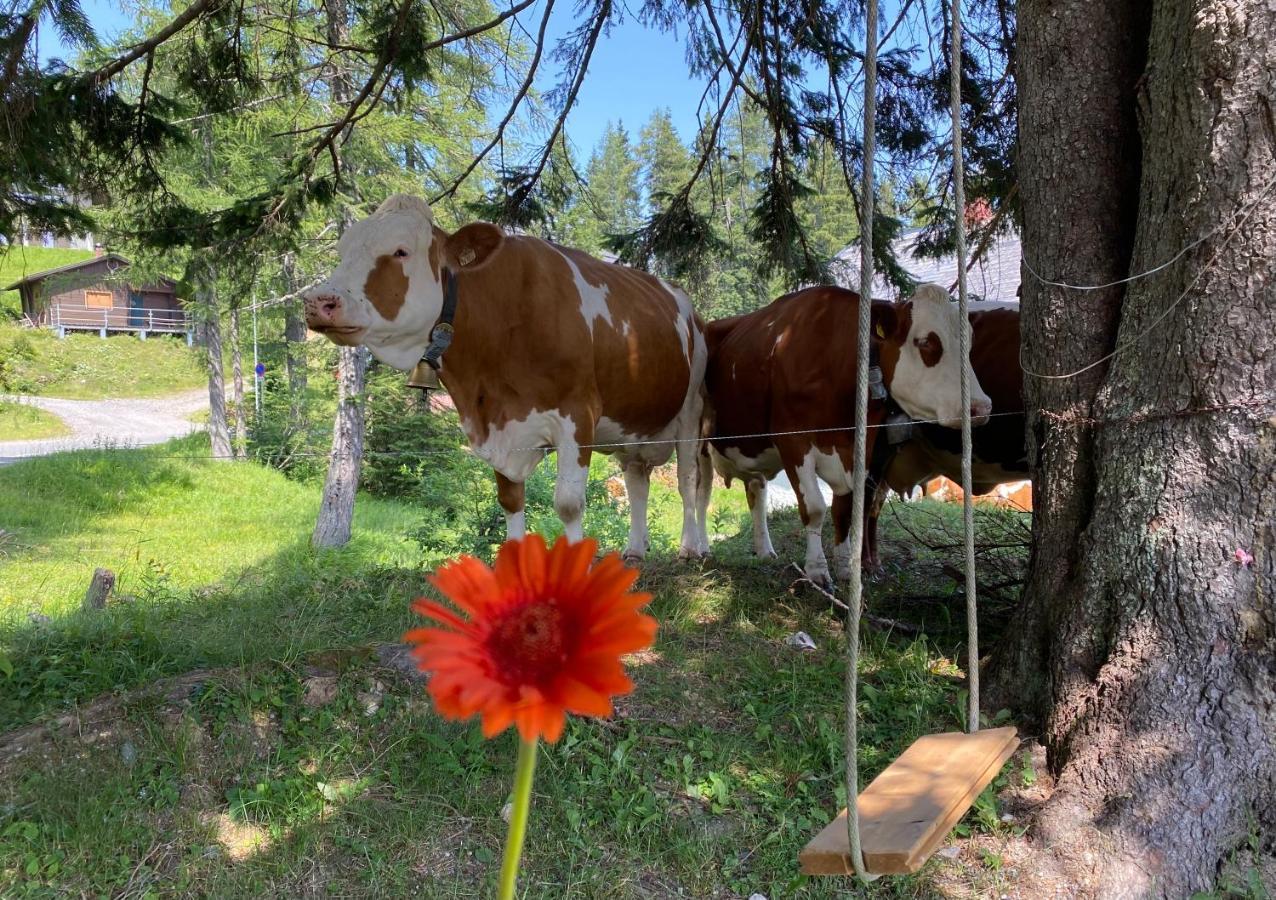 Gemuetliche Huette In Den Bergen Villa Sonnenalpe Nassfeld Bagian luar foto