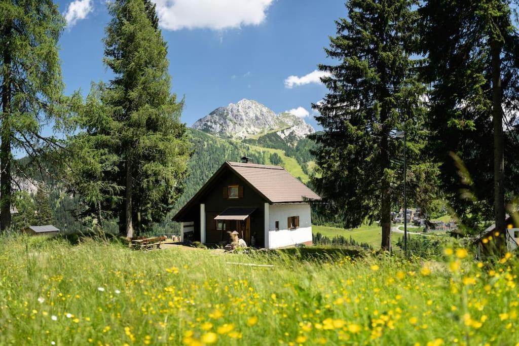 Gemuetliche Huette In Den Bergen Villa Sonnenalpe Nassfeld Bagian luar foto